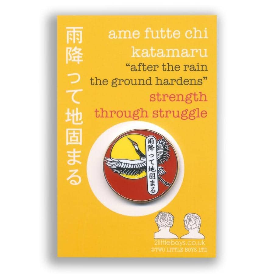 Set Of Six Latin And Japanese Inspirational Enamel Pins