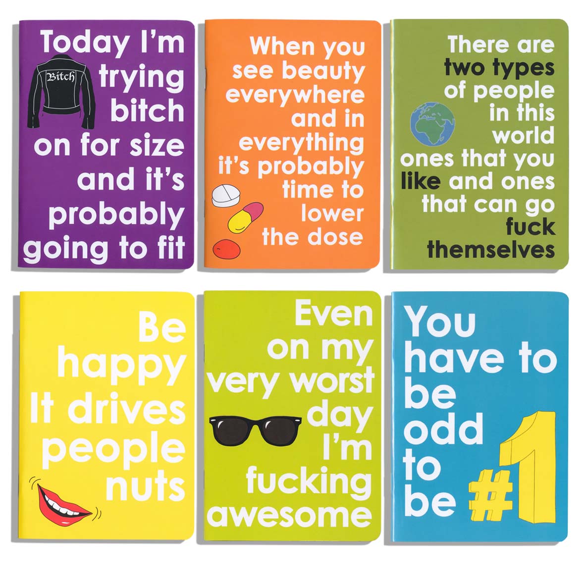 Set of 6 Funny Mini Notebooks